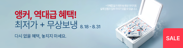 8월 18일 - 8월 31일 앵커